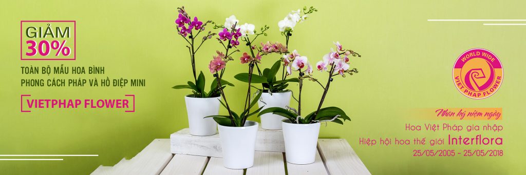 Chương trình giảm 30% nhân kỷ niệm gia nhập Hiệp hội Interflora