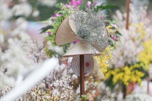 Lễ hội hoa anh đào 2019: Hàng trăm loài hoa khoe sắc rực rỡ