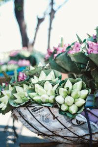 Những loài hoa tháng 6 rực rỡ gọi hè về giữa lòng thủ đô