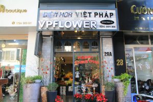 Hoa Việt Pháp tuyển dụng vị trí giám đốc điều hành