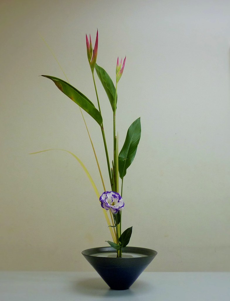 Thưởng thức nghệ thuật cắm hoa truyền thống Ikebana của Nhật Bản