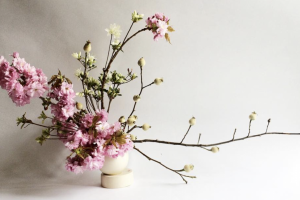 Thưởng thức nghệ thuật cắm hoa truyền thống Ikebana của Nhật Bản