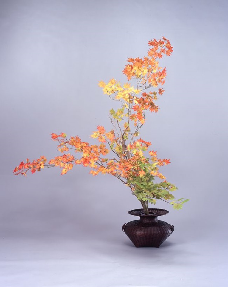 Thưởng thức nghệ thuật cắm hoa truyền thống Ikebana của Nhật Bản