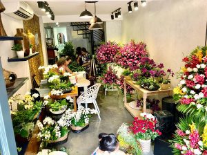 Hoa chúc mừng khai giảng năm học mới ý nghĩa nhất
