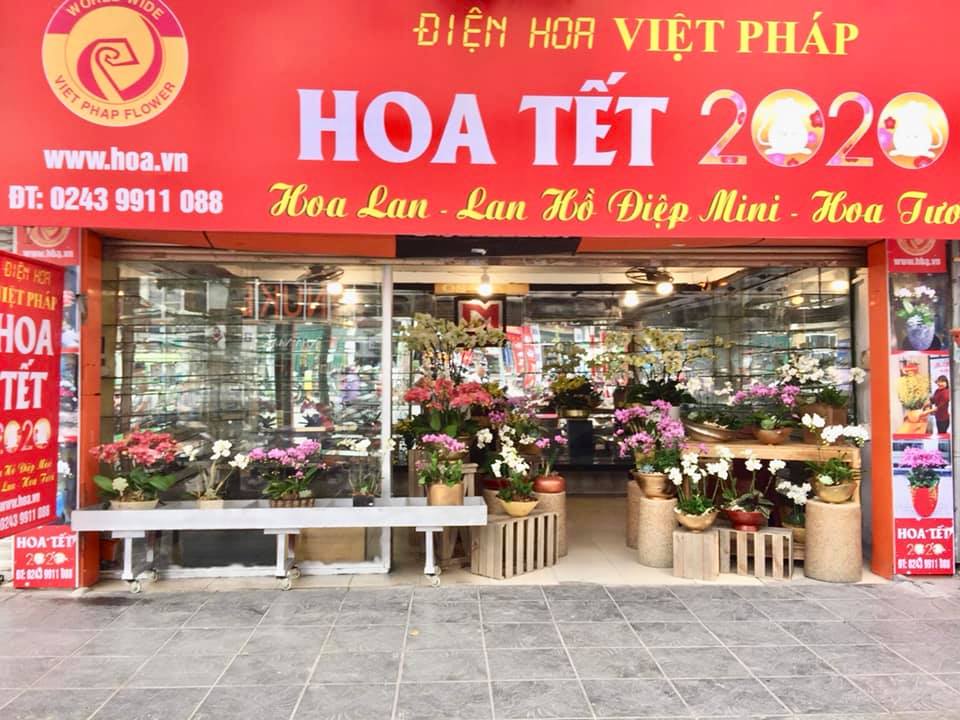 Cận cảnh mẫu hoa lan hồ điệp sang - đẹp đã có mặt tại Hoa Việt Pháp