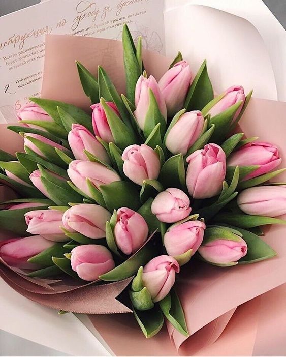 hoa tulip tặng sinh nhật