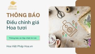 THÔNG BÁO ĐIỀU CHỈNH GIÁ HOA TƯƠI (18–19–20/11)
