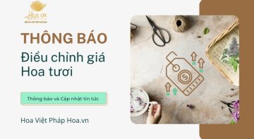 THÔNG BÁO ĐIỀU CHỈNH GIÁ HOA TƯƠI (18–19–20/11)