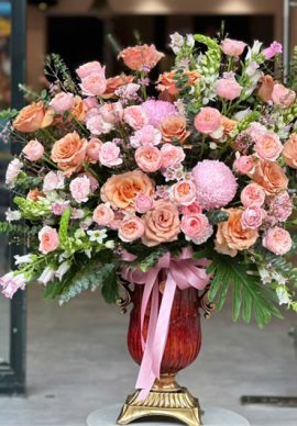 Mộng Mơ VPHDB1205253000