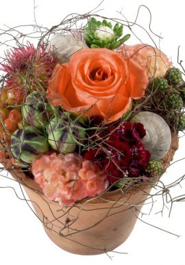 Switzerland flower kiss VPB 1883