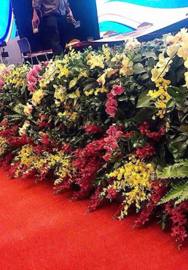 Thảm hoa sự kiện mẫu 11