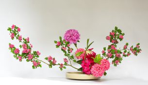 Thưởng thức nghệ thuật cắm hoa truyền thống Ikebana của Nhật Bản